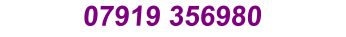 07919 356980