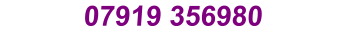 07919 356980