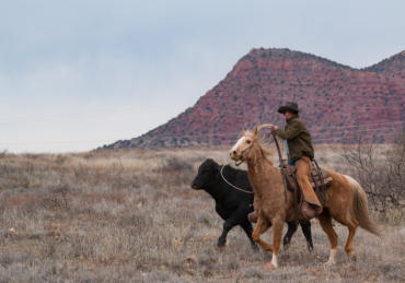 COWBOY