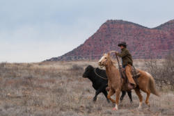 COWBOY